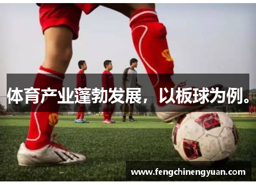 体育产业蓬勃发展，以板球为例。